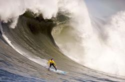 开云体育官方网站-绝杀之夜，卡瓦哈尔带队皇马力克塞维利亚，彰显领袖风范