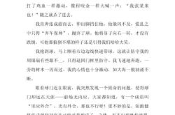 开云体育平台APP-欧洲足球赛事观后感，球迷情感厚重的简单介绍