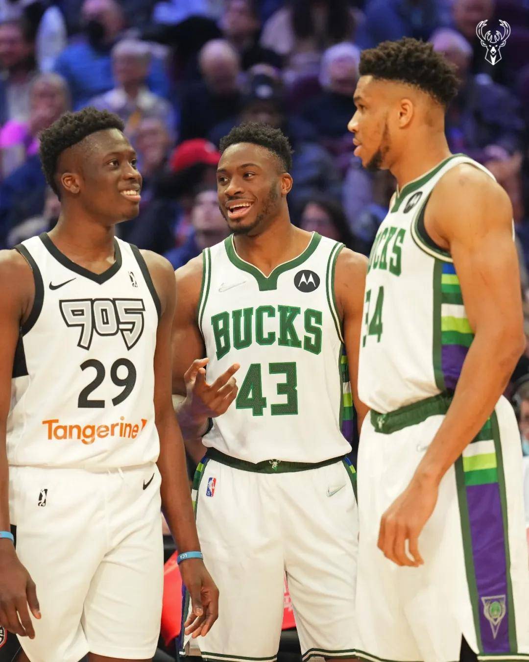 雄鹿球星字母哥接连砍下三双,领队逆转战局 雄鹿球星字母哥接连砍下三双,领队逆转战局